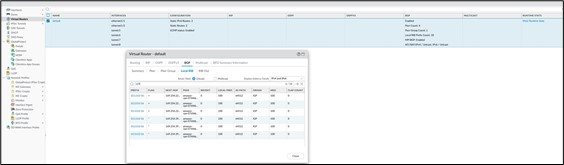 팔로알토 IPSec 터널 상태 및 BGP 라우팅 확인